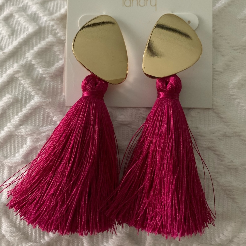 NWT Landry brand earrings